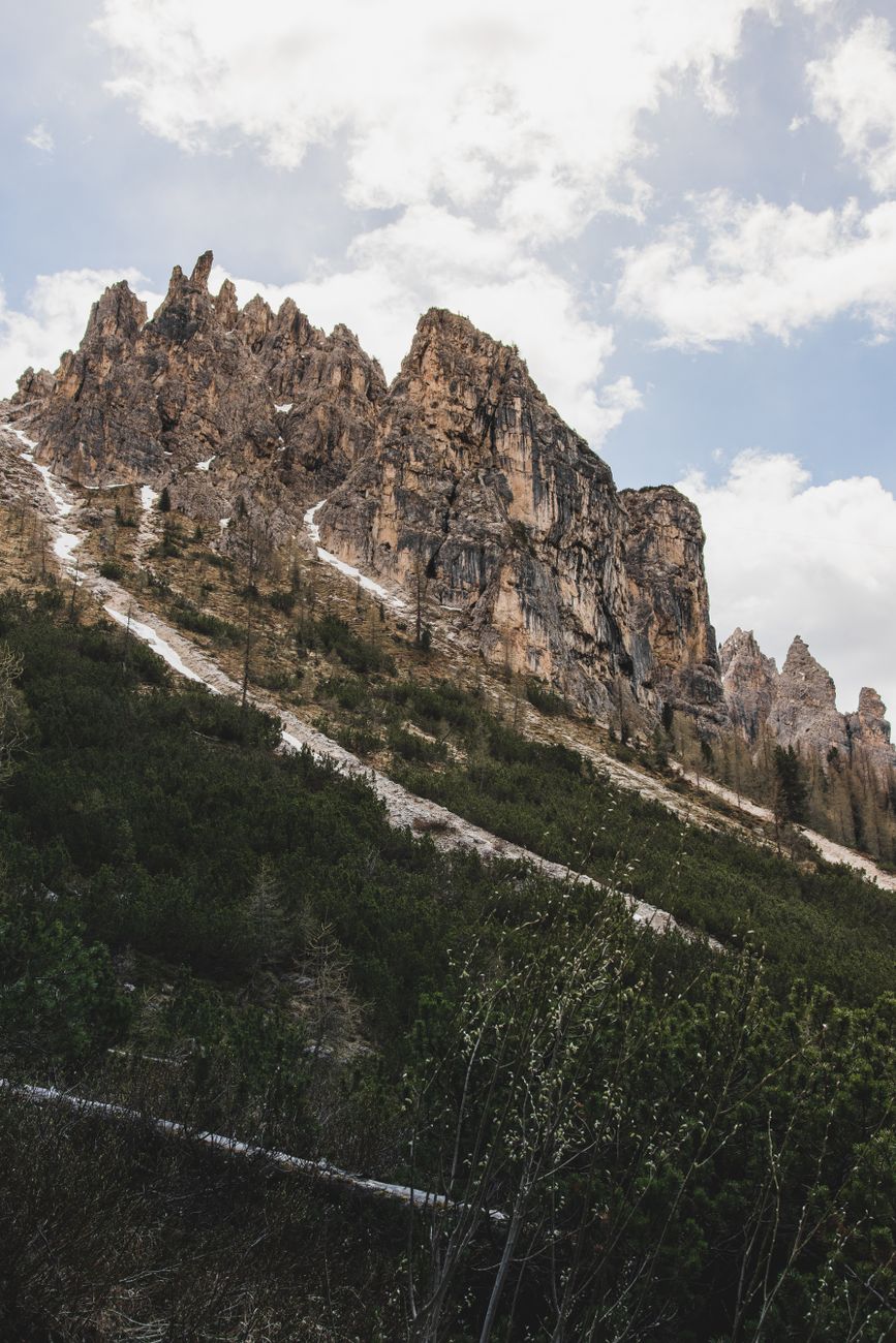 Alpine meadow trail with sharp mountain backdrop